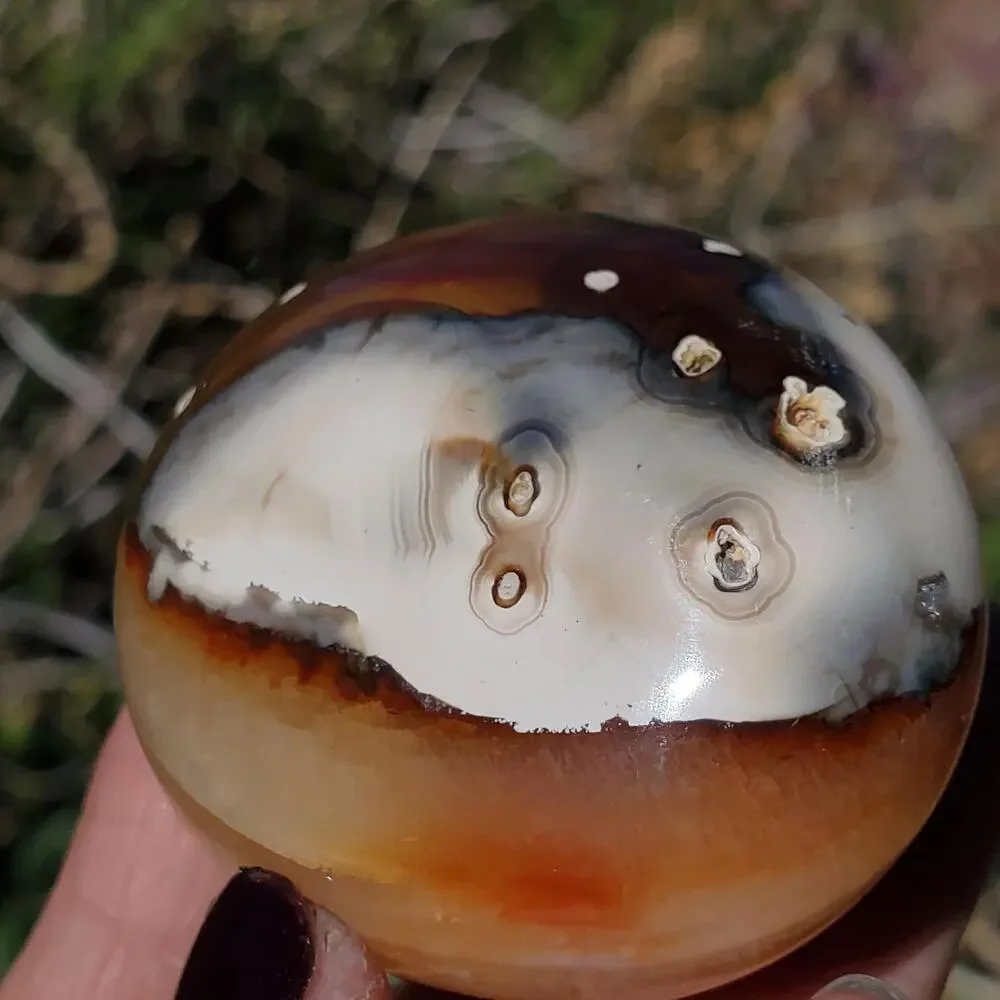 Eyes on Back Orca Agate Carnelian Stone Crystal UNIQUE Palmstone 180 grams
